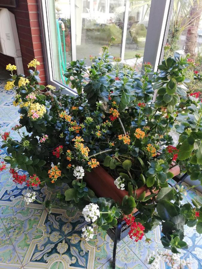 גרדונה ריביירה Residence Villa Alba Room Nr 415 מראה חיצוני תמונה